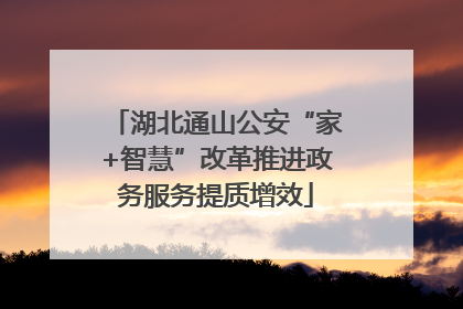 湖北通山公安“家+智慧”改革推进政务服务提质增效