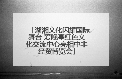 湖湘文化闪耀国际舞台 爱晚亭红色文化交流中心亮相中非经贸博览会