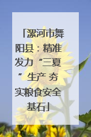 漯河市舞阳县：精准发力“三夏”生产 夯实粮食安全基石