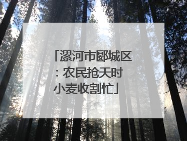 漯河市郾城区：农民抢天时 小麦收割忙