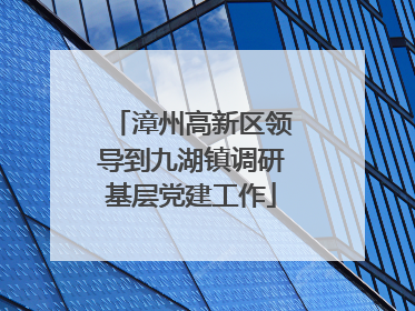 漳州高新区领导到九湖镇调研基层党建工作