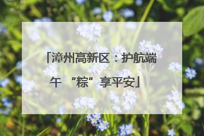 漳州高新区：护航端午 “粽”享平安