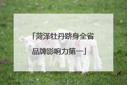 菏泽牡丹跻身全省品牌影响力第一