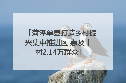 菏泽单县打造乡村振兴集中推进区 惠及十村2.14万群众