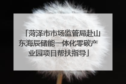 菏泽市市场监管局赴山东海辰储能一体化零碳产业园项目帮扶指导