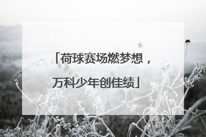 荷球赛场燃梦想，万科少年创佳绩