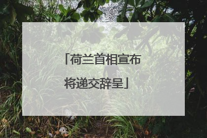 荷兰首相宣布将递交辞呈
