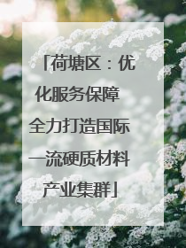 荷塘区：优化服务保障 全力打造国际一流硬质材料产业集群