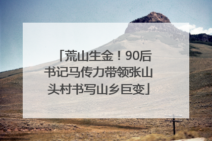 荒山生金！90后书记马传力带领张山头村书写山乡巨变