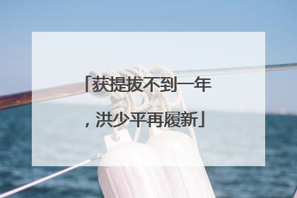 获提拔不到一年，洪少平再履新