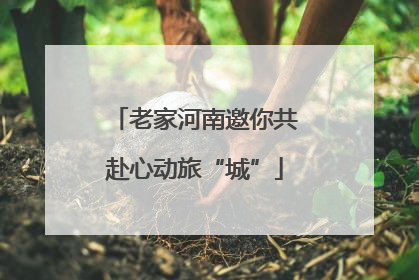 老家河南邀你共赴心动旅“城”
