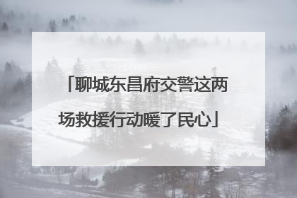 聊城东昌府交警这两场救援行动暖了民心