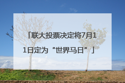 联大投票决定将7月11日定为“世界马日”