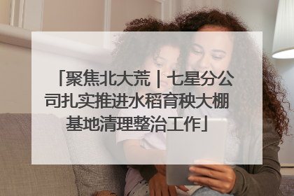 聚焦北大荒｜七星分公司扎实推进水稻育秧大棚基地清理整治工作