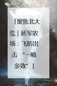 聚焦北大荒｜延军农场：飞防出击 “一喷多效”