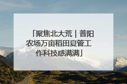 聚焦北大荒｜普阳农场万亩稻田夏管工作科技感满满