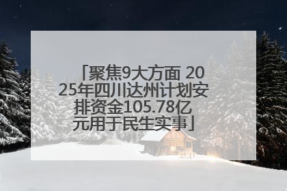 聚焦9大方面 2025年四川达州计划安排资金105.78亿元用于民生实事