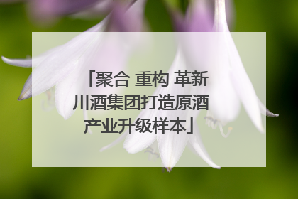 聚合 重构 革新 川酒集团打造原酒产业升级样本