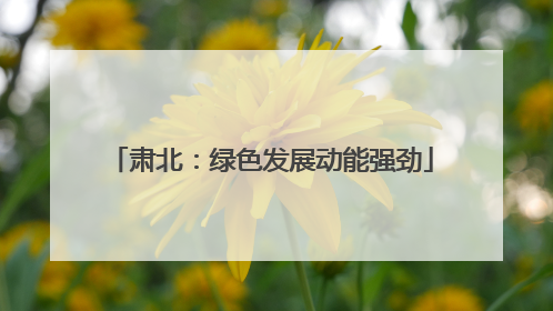 肃北：绿色发展动能强劲