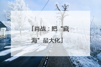 肖战：把“藏海”最大化