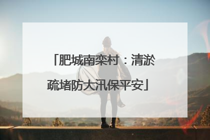 肥城南栾村：清淤疏堵防大汛保平安