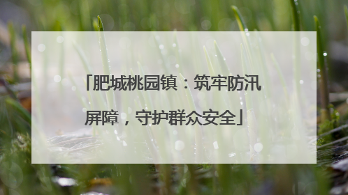 肥城桃园镇：筑牢防汛屏障，守护群众安全