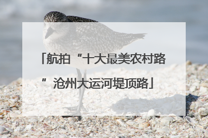 航拍“十大最美农村路”沧州大运河堤顶路