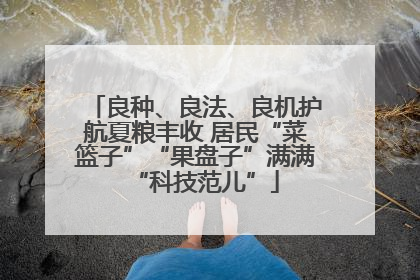 良种、良法、良机护航夏粮丰收 居民“菜篮子”“果盘子”满满“科技范儿”