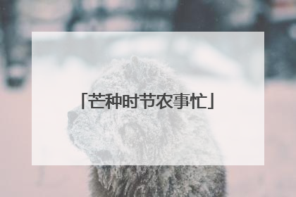 芒种时节农事忙