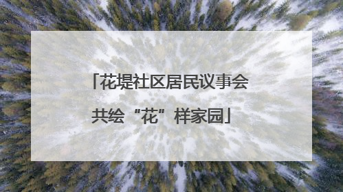 花堤社区居民议事会共绘“花”样家园