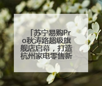 苏宁易购Pro秋涛路超级旗舰店启幕，打造杭州家电零售新地标，加速“大店攻略”全省布局