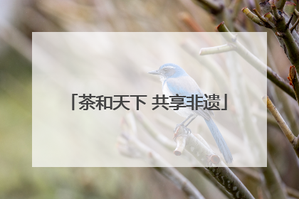 茶和天下 共享非遗