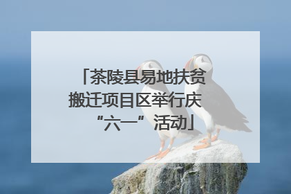 茶陵县易地扶贫搬迁项目区举行庆“六一”活动