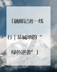 融媒记者一线行｜盐碱地的“绿色逆袭”
