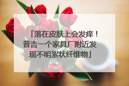 落在皮肤上会发痒！普吉一个家具厂附近发现不明絮状纤维物