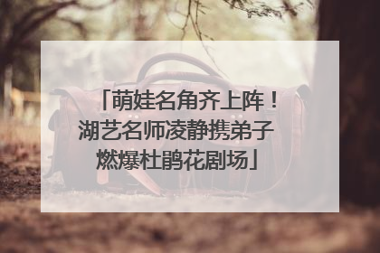 萌娃名角齐上阵！湖艺名师凌静携弟子燃爆杜鹃花剧场