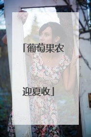 葡萄果农迎夏收