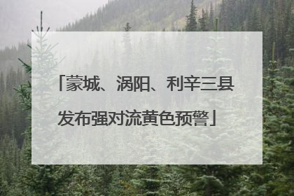蒙城、涡阳、利辛三县发布强对流黄色预警