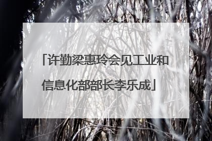 许勤梁惠玲会见工业和信息化部部长李乐成