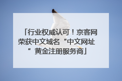 行业权威认可！京客网荣获中文域名“中文网址”黄金注册服务商