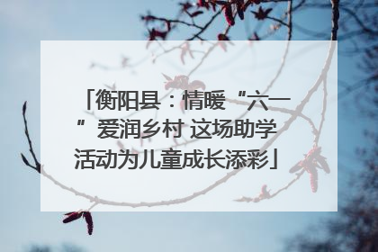 衡阳县：情暖“六一”爱润乡村 这场助学活动为儿童成长添彩
