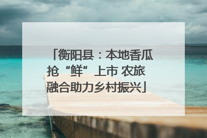 衡阳县：本地香瓜抢“鲜”上市 农旅融合助力乡村振兴