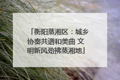 衡阳蒸湘区：城乡协奏共谱和美曲 文明新风劲拂蒸湘地