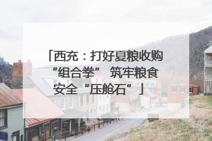 西充：打好夏粮收购“组合拳” 筑牢粮食安全“压舱石”
