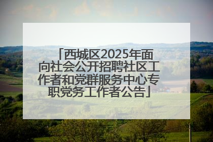 西城区2025年面向社会公开招聘社区工作者和党群服务中心专职党务工作者公告