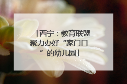 西宁：教育联盟聚力办好“家门口”的幼儿园