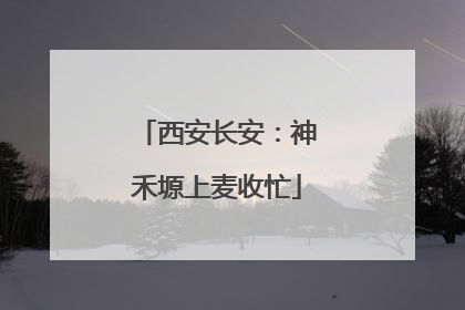 西安长安：神禾塬上麦收忙