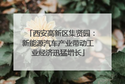 西安高新区集贤园：新能源汽车产业带动工业经济迅猛增长