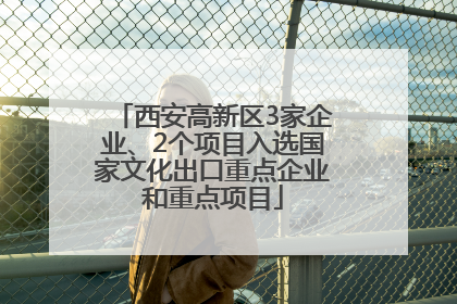 西安高新区3家企业、2个项目入选国家文化出口重点企业和重点项目
