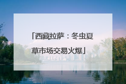 西藏拉萨：冬虫夏草市场交易火爆